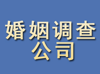 道里婚姻调查公司