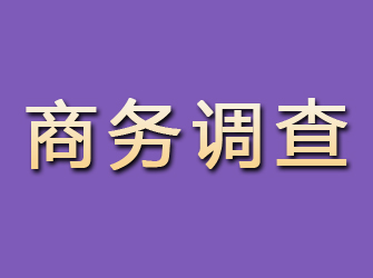 道里商务调查